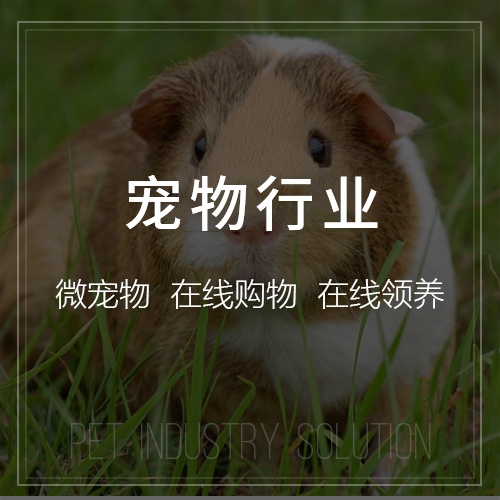舟山高端网站定制如何结合用户体验与商业目标